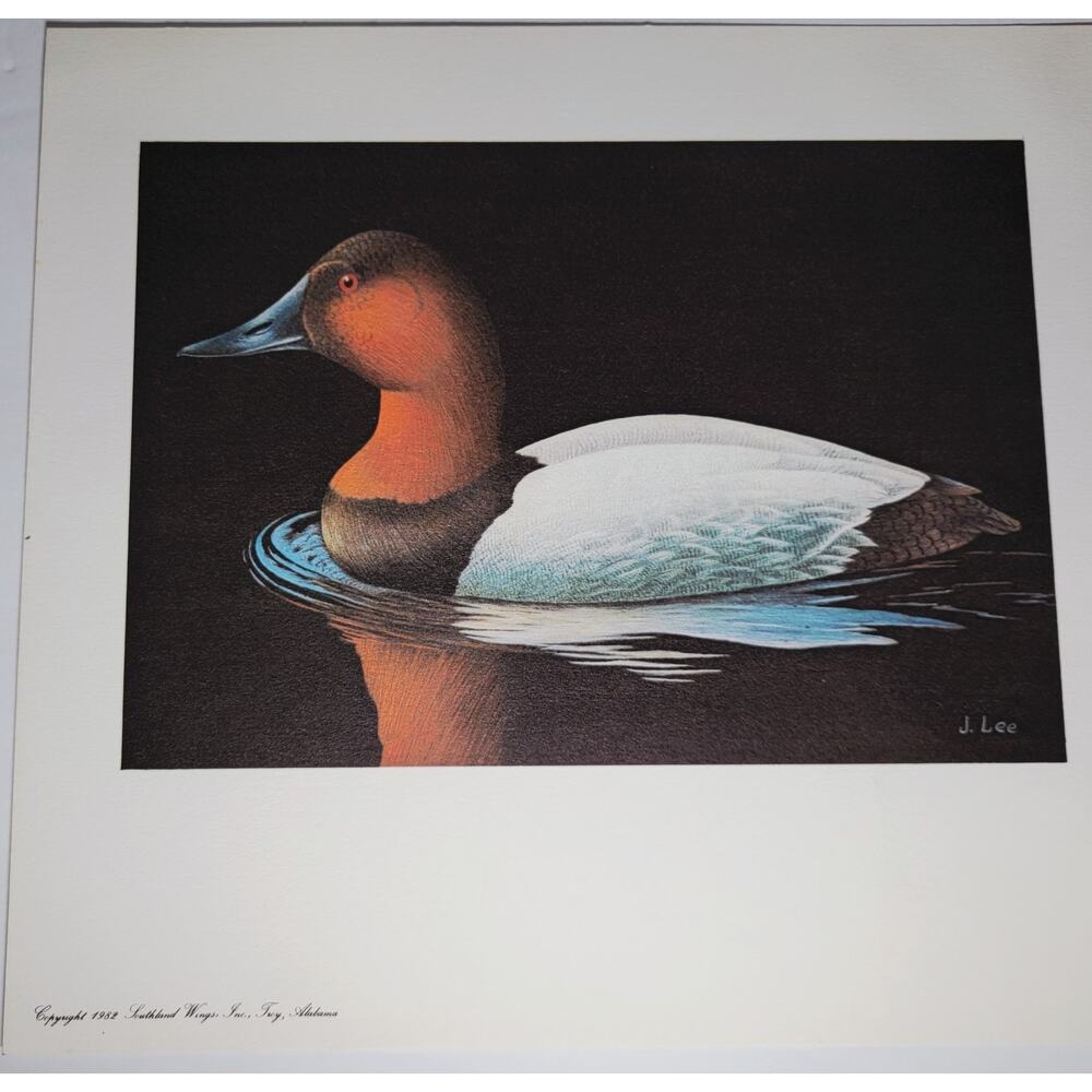 John P Lee 1982 Unframed print Canvasback #8/625 Pencil Signed 11⅛ x 10¼